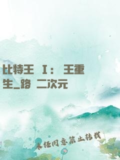 比特王國Ⅰ: 國王重生